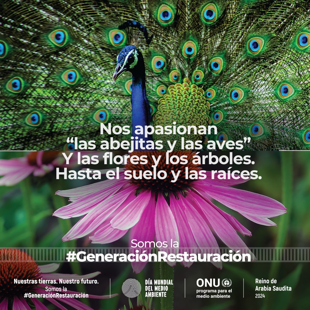 #GeneraciónRestauración